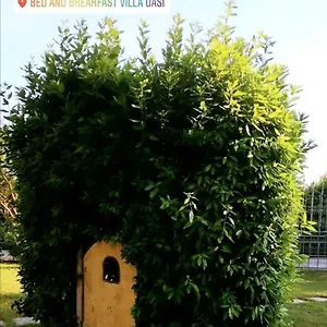 Bed and breakfast Oasi